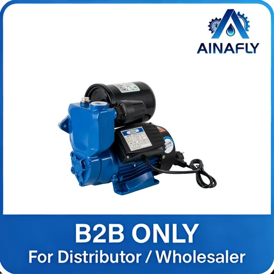  PS200 Surface Pump for Domestic Clean Water Supply and Centrifugal Water Pump